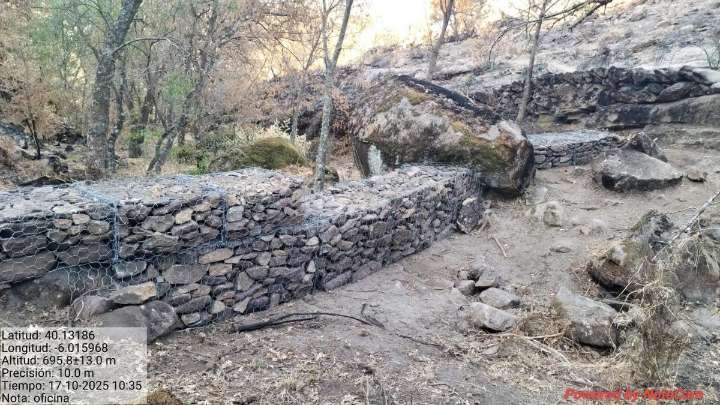 La Junta descarta que las cenizas del incendio de Jarilla hayan causado la muerte de peces