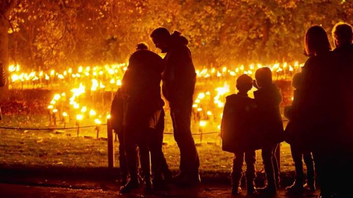 San Francisco’s Golden Gate Park to be a holiday lightscape