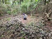 Arqueología de los campos de batalla, tras las huellas del combate
