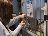 Photo Gallery: 5 years in Humane Ohio’s new building