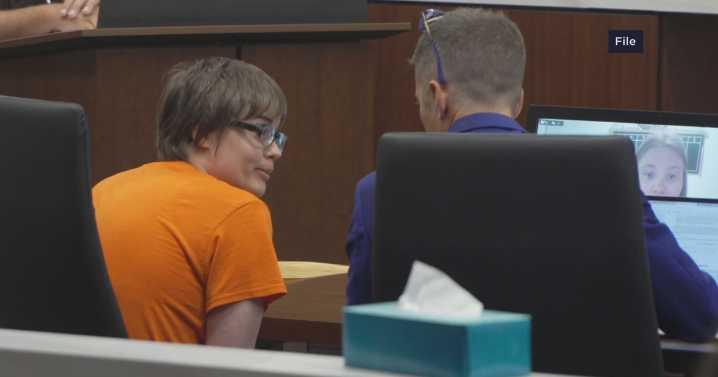 Geyser's mental state key in extradition hearing