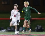 Hamilton boys soccer knocks off Heuvelton in ‘stepping stone’ Class D subregional win