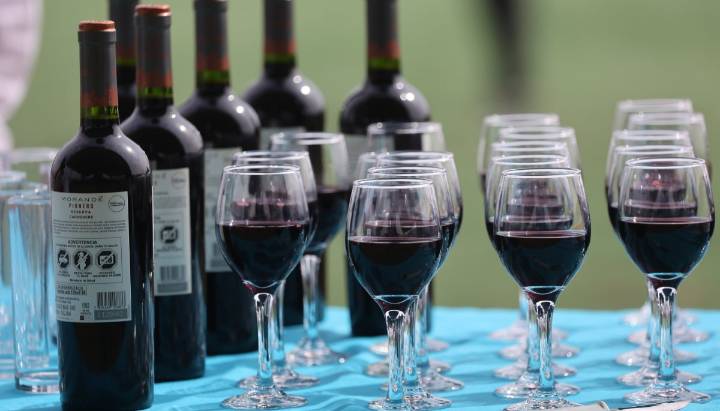 Cámara aprobó proyecto para declarar al vino y pisco como bebidas nacionales
