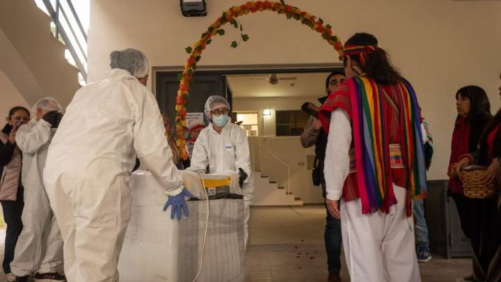 El niño del Aconcagua: 40 años de conflictos, errores y un destino todavía abierto