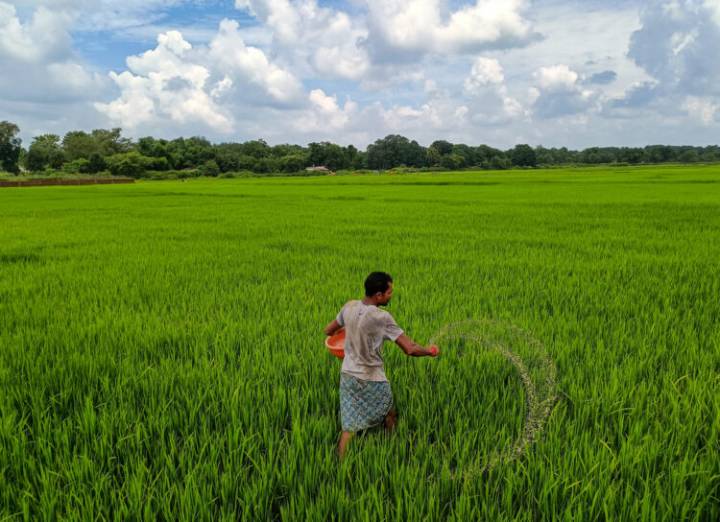 Have Strong Urea Buffer Stock To Supply Farmers In Rabi Season: Govt