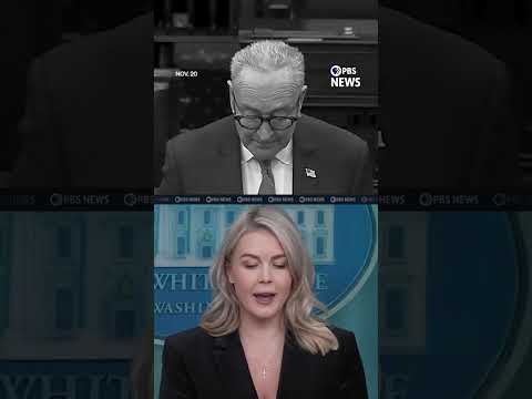 WATCH: Schumer and Leavitt on Trump's threat to Democratic lawmakers