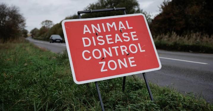 Bird flu case confirmed in Midlands as experts warn 'be vigilant'