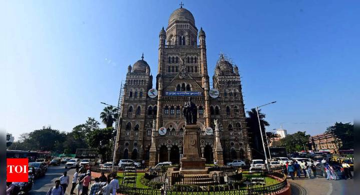 Mumbai’s mayor is just a figurehead. Should it copy the NYC model?