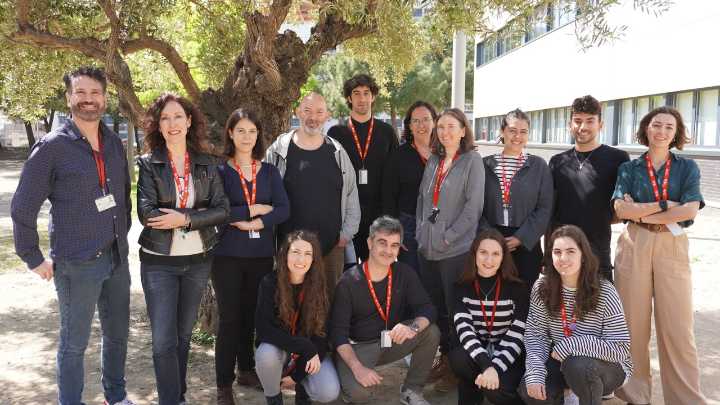 Descubren una nueva enfermedad rara del neurodesarrollo