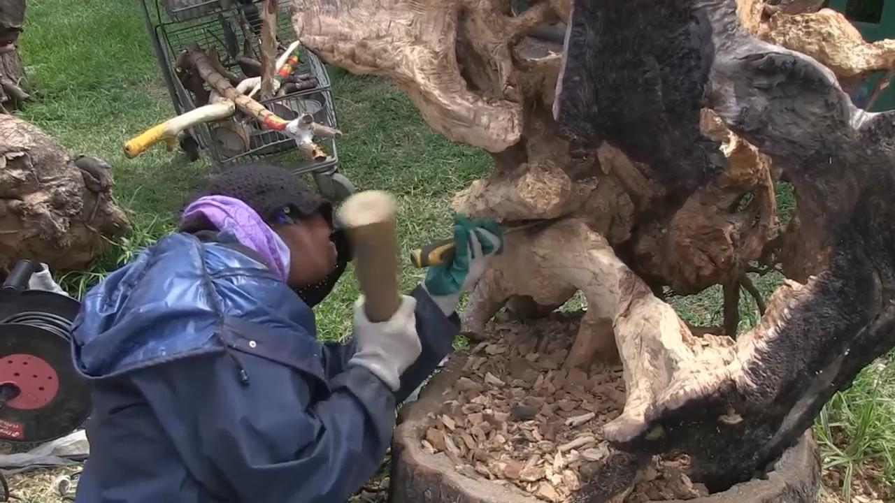 Trash to treasure: Johannesburg's river waste transformed into art