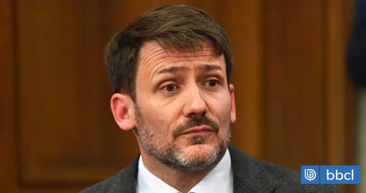 Los argumentos de Pardow ante la AC: ocultar error en cuentas de luz para no "introducir alarma"