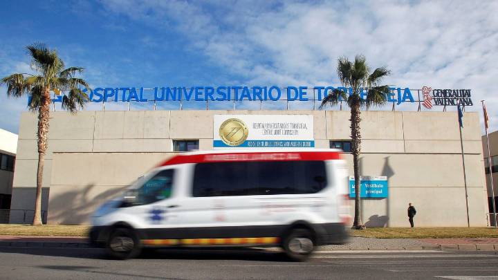 Fallece un conductor de 22 años al caerle encima una palmera en Torrevieja