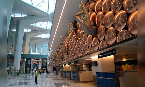 Experts warn of rising cancer, respiratory risks as Delhi's air quality deteriorates