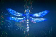 Aquatica water park launches Illuminate, an after