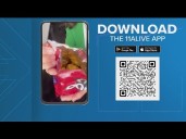 Doritos and Cheetos are getting naked.