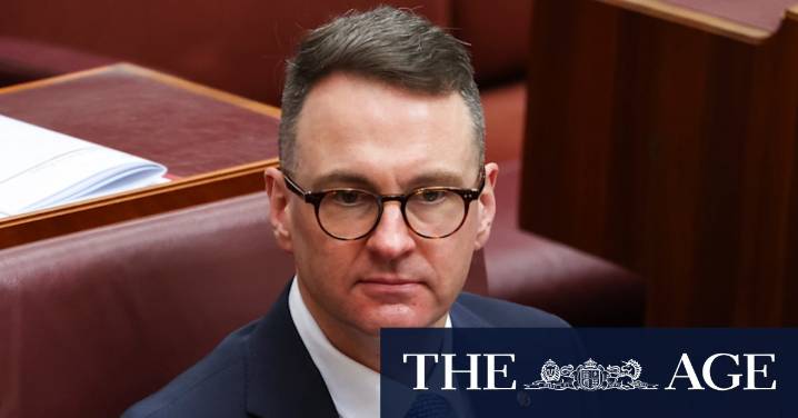 Coalition infighting: Melissa McIntosh warns Australians are 'disappointed' and want issues resolved