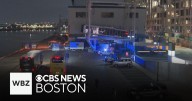 Possible human skull found near Black Falcon Pier in Boston