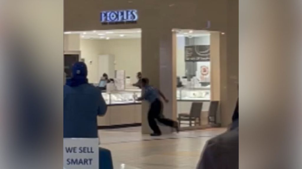 Video shows a smash-and-grab robbery at GTA jewellery store