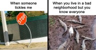 47 Memes That Are So Relatable They’re Actually Offensive