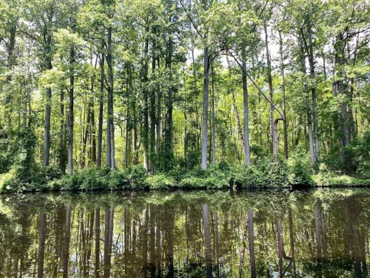 Crews in Chesapeake respond to overturned boat in Lake Drummond