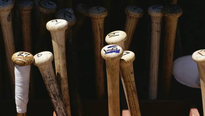 PETA Calls On MLB To Rename 'Bats' As Name Is Offensive To Nocturnal Flying Animals