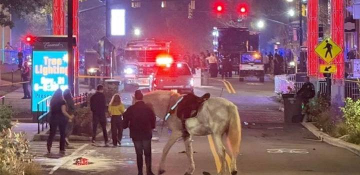 Cuatro personas heridas tras tiroteo en ceremonia de iluminación del árbol de Navidad en Carolina del Norte 22 de noviembre de 2025 | Internacional Las autoridades desconocen hasta el momento qué orig