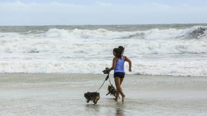 Searching for an outdoor adventure with your dog? Part of Daytona Beach is dog