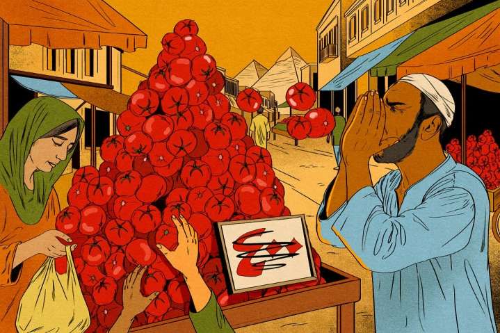 The Surprising History of Egypt’s ‘Crazy Tomatoes’