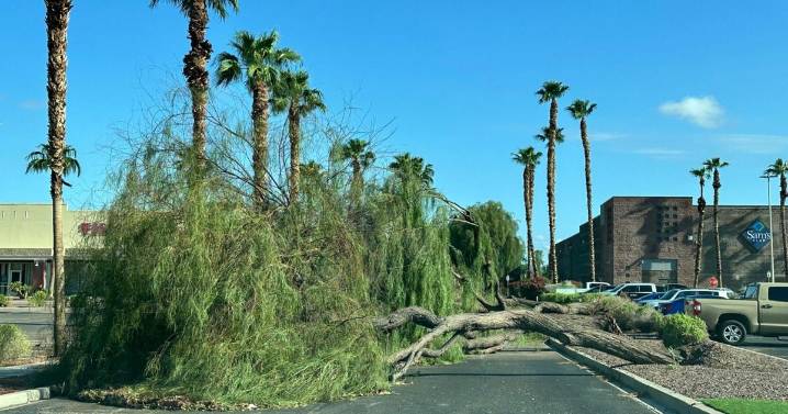 How does the City of Yuma respond to storms?