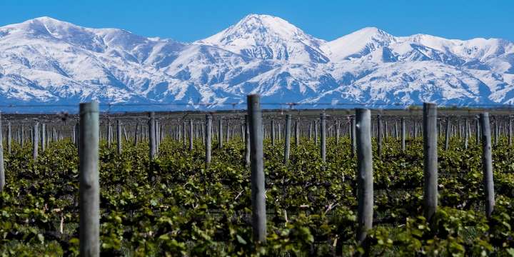 La Argentina lidera un ranking internacional con la mayor cantidad de bodegas premiadas entre las 50 mejores del mundo