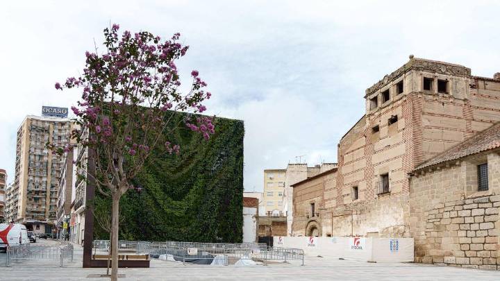 Aviso a conductores: mañana se corta un carril en una de las avenidas más transitadas de Mérida