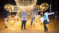 Detroit Zoo Wild Lights begins this month