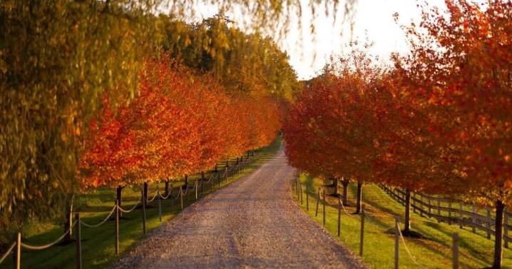 Matt Baumgartner’s June Farms gets own Amazon Prime series