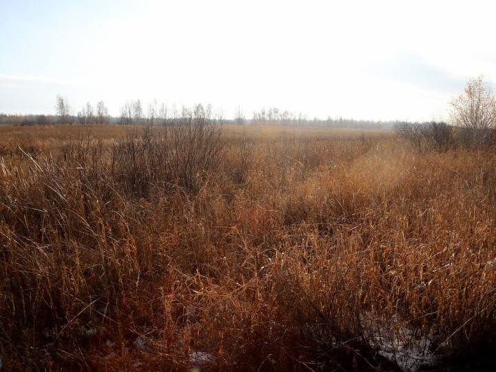 Few details as Ottawa proceeds with bid for east