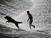 El perro, ‘mejor amigo’ del hombre desde hace más de 10.000 años