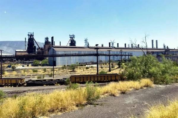 Informan posible subasta de AHMSA en enero de 2026