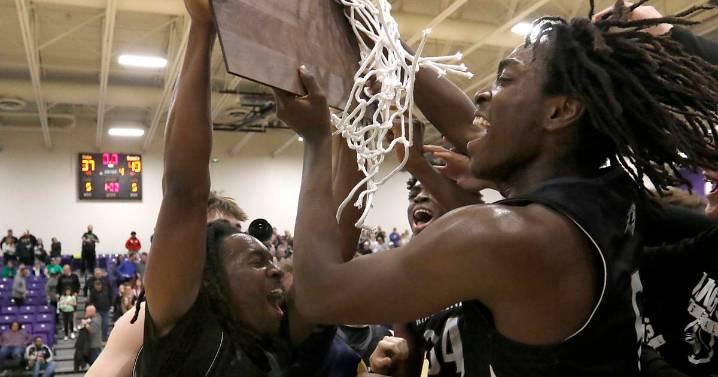 Daily Chronicle boys basketball preview: Team-by-team capsules – Shaw Local