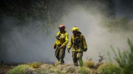 Incendios forestales: el COE centraliza la lucha contra 12 focos de Fuego en la zona Cordillerana