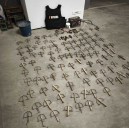 Actuaciones contra la caza furtiva de aves insectívoras