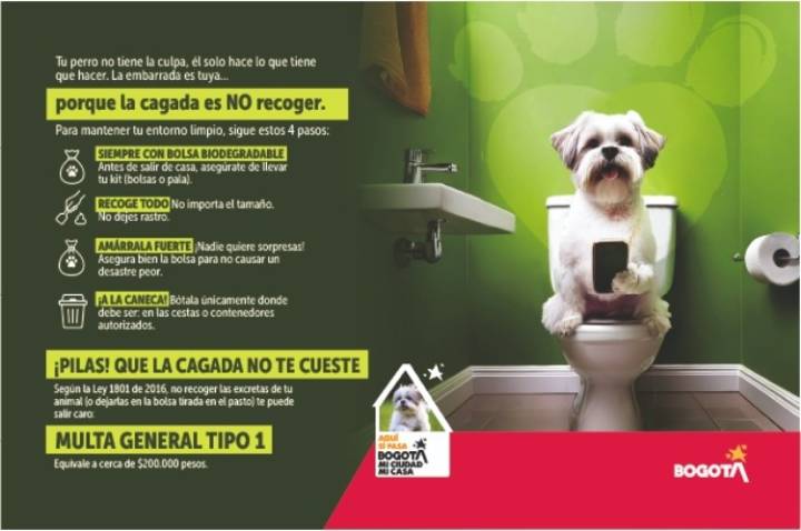 "La cagad* es no recoger" Conciencia Cívica: Campaña de la Alcaldía de Bogotá