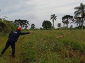 La Brigada Canina de Bomberos Voluntarios se sumó a la búsqueda de Villalba en Oberá