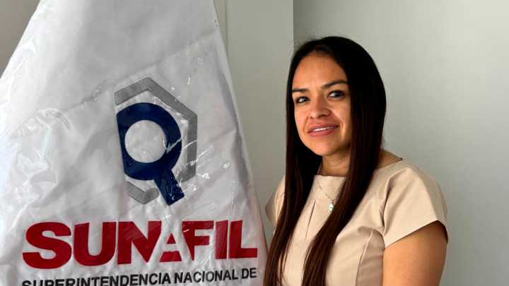 Sunafil advierte fuertes sanciones por manipulación riesgosa de cargas en construcción