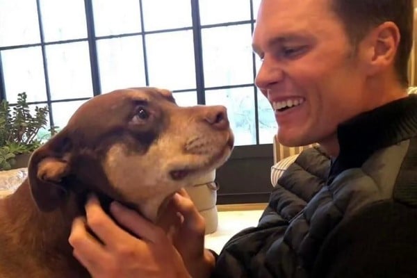 Clonó Tom Brady a su mascota