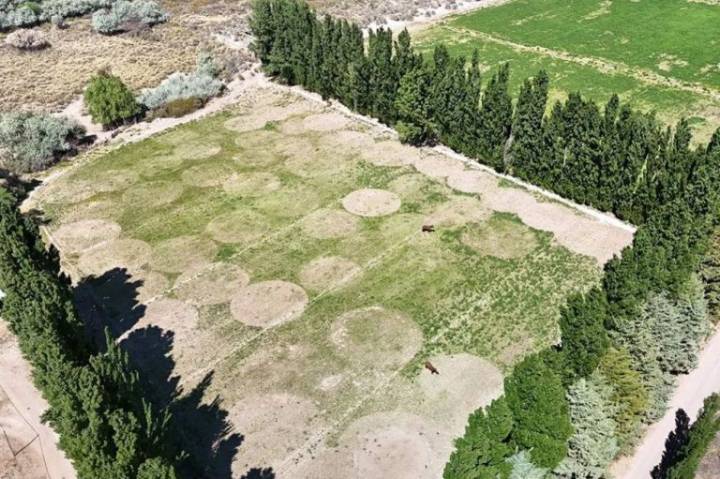 Producción mantiene presencia permanente en Picún Leufú