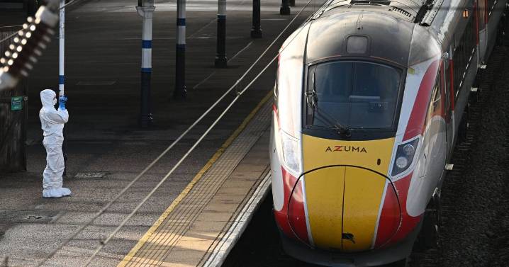 Man, 32, treated as 'sole Huntingdon train attacker' as hero worker 'saved many lives'