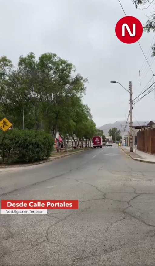 Vecinos de población Diego de Almagro solicitan poda de árboles