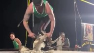 Sheep shearing record: Ethan Harder sets WA quick shear record, potentially breaks Australian record