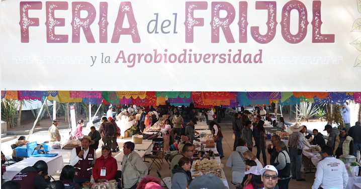 Feria del Frijol y la Agrobiodiversidad: Brugada inaugura llama a consumir productos del campo