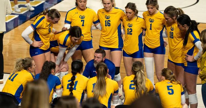 Matt Houk adds three to Montana State volleyball program
