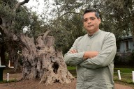 El Guardián del Olivo: Gianfranco Vargas Flores